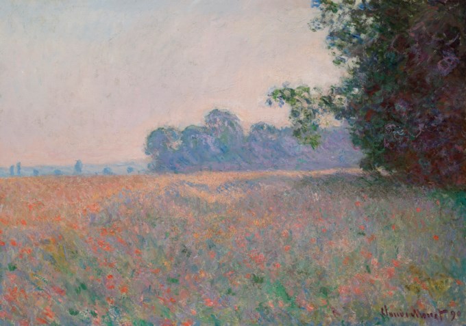 Champ d’avoine et de coquelicots