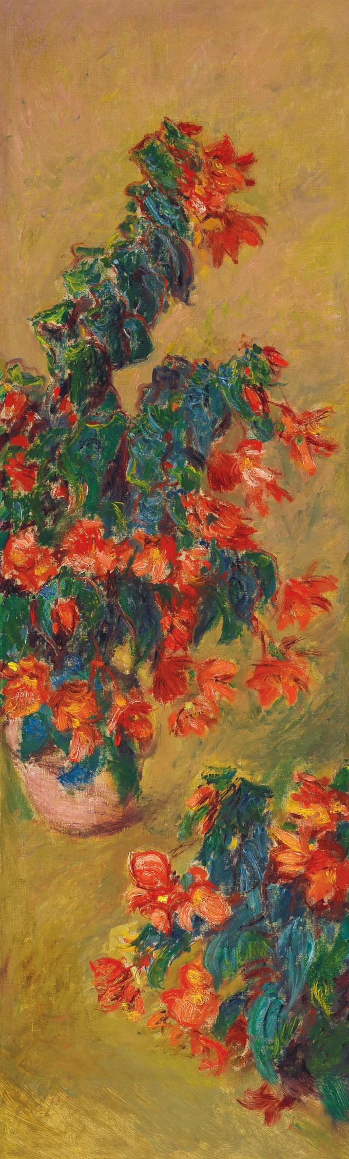 Azalées rouges en pot