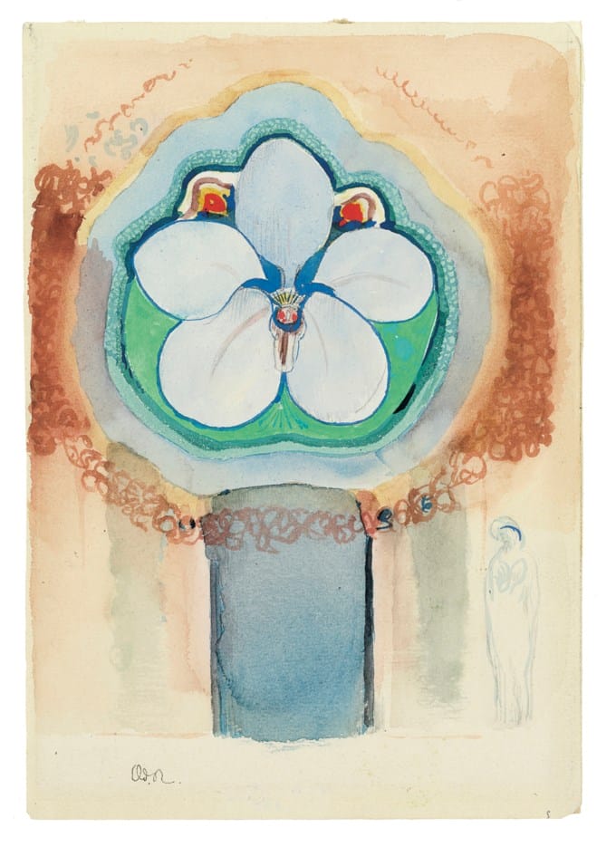 Orchidée fantastique