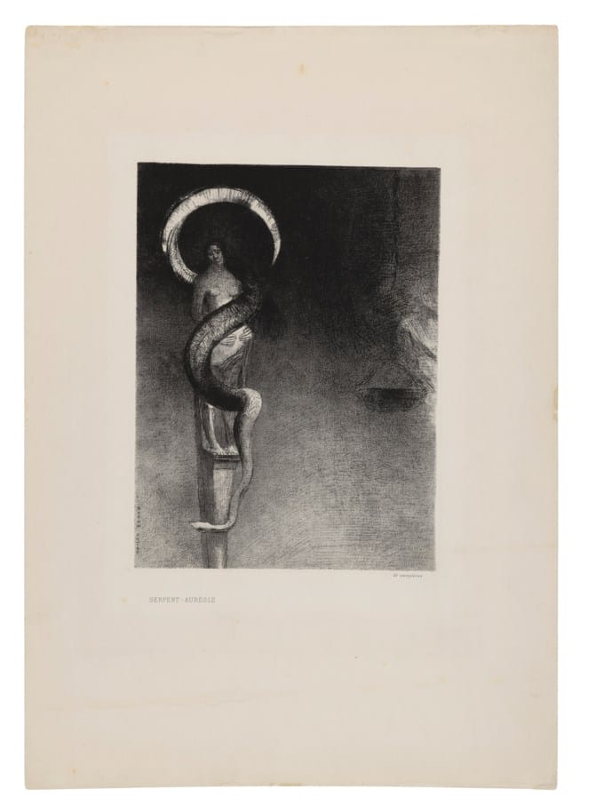 Serpent-Auréole